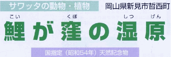 鯉が窪湿原